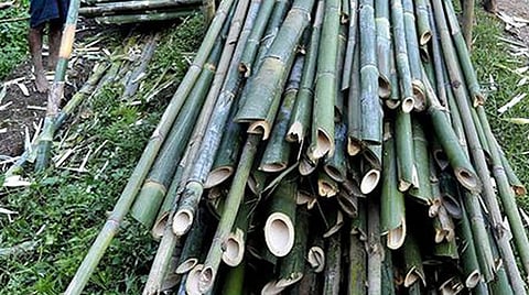 கோப்புப் படம்