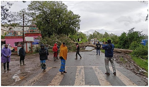 அவலாஞ்சியில் 353 மி.மீட்டர் மழை பதிவு: கடும் குளிரும் நிலவுவதால் மக்கள் அவதி