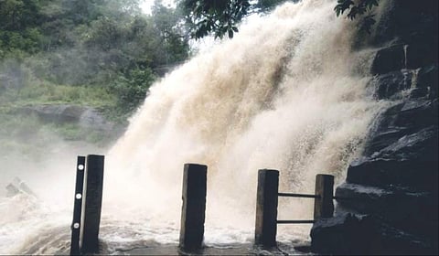 மேற்குத் தொடர்ச்சி மலையில் பெய்து வரும் கனமழையால் மேகமலை அருவியில் வெள்ளப்பெருக்கு ஏற்பட்டது.  