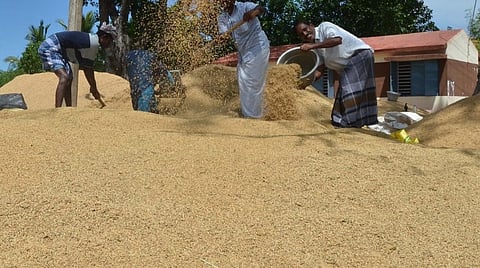 நேரடி கொள்​முதல் நெல்​லுக்கு 10 நாட்களில் பணம்: விவசாயிகளிடம் நுகர்பொருள் வாணிப கழகம் உறுதி