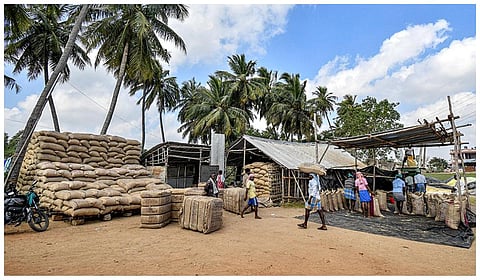 நெல் கொள்முதலில் ரூ.811 கோடி மோசடி: சிபிஐ விசாரணை கோரும் அன்புமணி