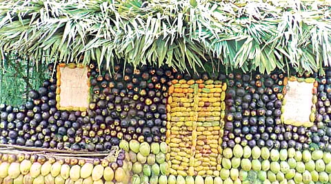 குன்னூர் காட்டேரி பூங்காவில் முதன்முறையாக இன்று தொடங்கவுள்ள மலைப் பயிர்கள் கண்காட்சிக்காக நுங்கு, இளநீர், கோகோ பழங்களால் வடிவமைக்கப்பட்டுள்ள குடிசை.