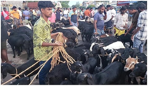 பக்ரீத் பண்டிகையை முன்னிட்டு திண்டுக்கல்லில் ரூ.1 கோடிக்கு ஆடுகள் விற்பனை