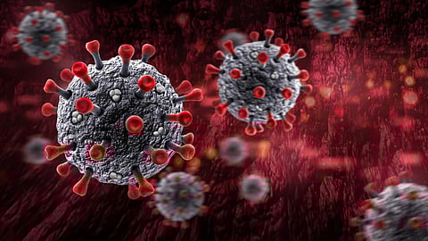 வீரியம் இல்லாத கரோனா வைரஸால் பெரும் பாதிப்பு இருக்காது: சுகாதாரத் துறை அமைச்சர் தகவல்