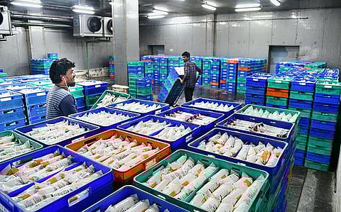 'ஆவின்' தந்த கள்ளிப்பால்!