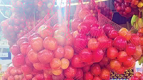 கொடைக்கானலில் விற்பனைக்கு வந்த பிளம்ஸ் பழங்கள்.