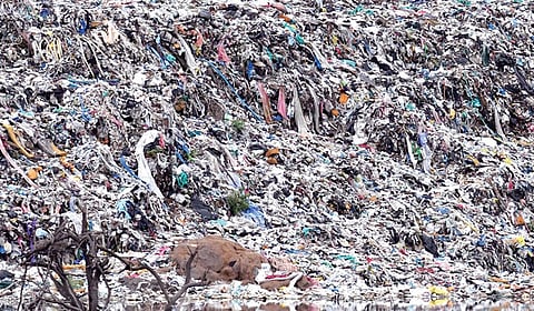 திடக்கழிவு மேலாண்மை என்ற தில்லுமுல்லு