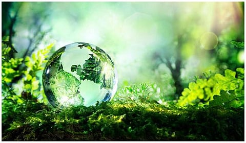 தமிழக அரசின் எரிஉலை திட்டங்களை தடுக்க சுற்றுச்சூழல் நாளில் உறுதி ஏற்போம்: அன்புமணி