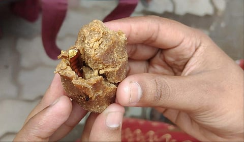 மதுரை அங்கன்வாடியில் குழந்தைக்கு வழங்கப்பட்ட உணவுப்பொருளில் கரப்பான் பூச்சி இருந்ததையடுத்து அங்கன்வாடி ஊழியர் சஸ்பெண்ட் செய்யப்பட்டார்.