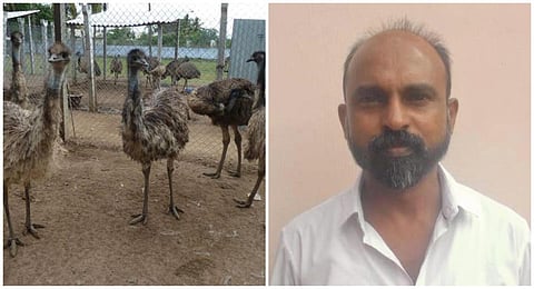 ஈமு கோழி மோசடி வழக்கில் நிர்வாக இயக்குநருக்கு 10 ஆண்டு சிறை, ரூ.7.89 கோடி அபராதம்