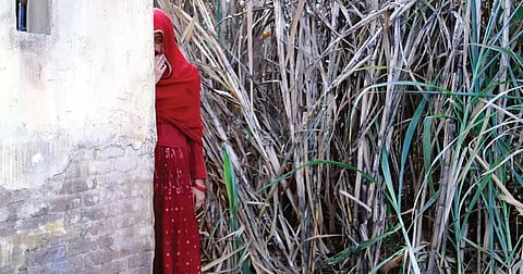 கருப்பை நீக்கம்: பின்னிருக்கும் அரசியல் | உரையாடும் மழைத்துளி 36