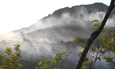 Firebreak என்றால் என்ன? | ஆங்கிலம் அறிவோமே 4.0 - 136