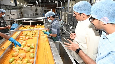 திருப்பதியில் அதிக விளைச்சலால் வெளிமாநில மாங்காய்களை வாங்க இயலாது: ஆட்சியர் திட்டவட்டம்