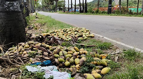 படம்: எஸ்.கே.ரமேஷ்