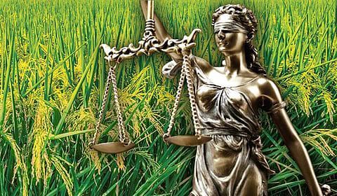 விவசாயிகளின் குத்தகை உரிமை உறுதியாகுமா?