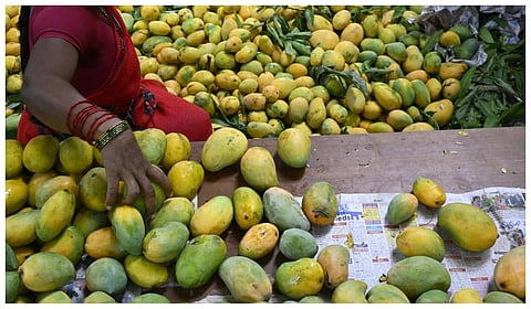 கோப்புப் படம்