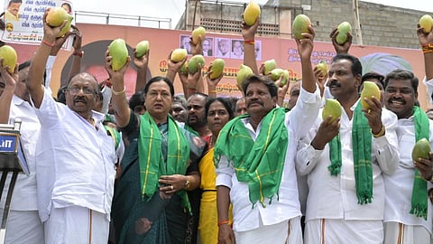 பாஜக, தி​முகவை எதிர்க்​கும் கட்​சிகளுடன் கூட்​ட​ணி​யா? - பிரேமலதா விளக்​கம்