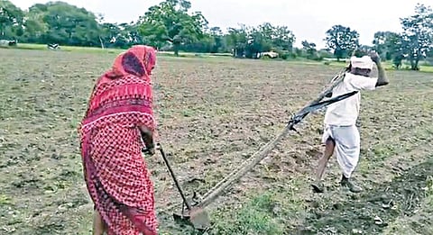 எருதாக மாறி நிலத்தை உழுத முதியவரின் விவசாய கடனை அடைத்த அமைச்சர்