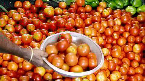 கோயம்பேடு சந்தையில் உயரும் தக்காளி விலை!