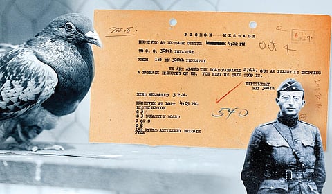 செர் அமி: போர்க்களப் புறா! | வரலாறு முக்கியம் மக்களே! - 06