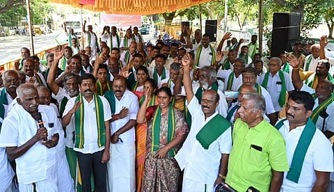 படம்: சத்தியசீலன்