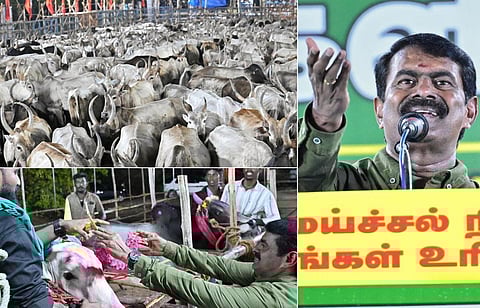 நாதகவின் ஆடு - மாடுகளின் மாநாடு: மதுரையில் சீமான் பேசியது என்ன?