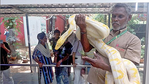 ஆபத்தான முறையில் பாம்பு பிடிப்பதை தடுக்க வேண்டும்: வனத்துறை செயலர் சுப்ரியா சாஹு அறிவுறுத்தல்