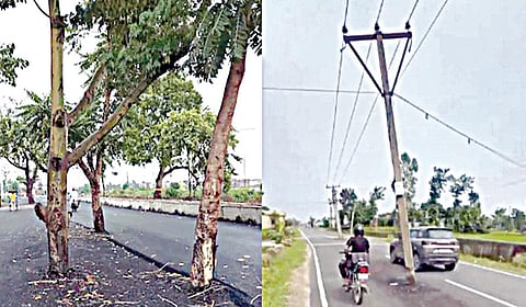 பிஹாரில் மரங்களை அகற்றாமல் போடப்பட்ட சாலை. அடுத்தபடம்: இமாச்சலில் சாலை நடுவில் உள்ள மின்கம்பங்கள்.