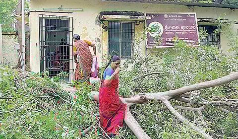 புரசைவாக்கம் தாலுகா அலுவலக வளாகத்தில் செயல்படும் இ-சேவை மையம் முன்பு விழுந்த மரத்தை வருவாய்த்துறை அகற்றாத நிலையில், அம்மையத்தில் பல்வேறு சான்றுகளுக்காக விண்ணப்பிக்க, சாகசம் புரிவது போன்று சிரமத்துடன் செல்லும் மக்கள்.  | படம்: ச.கார்த்திகேயன் |