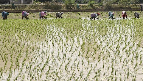 படம்:ஆர்.வெங்கடேஷ்