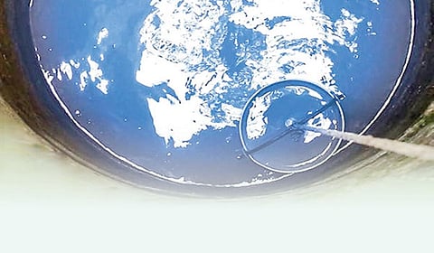 பாதாளக் கரண்டி