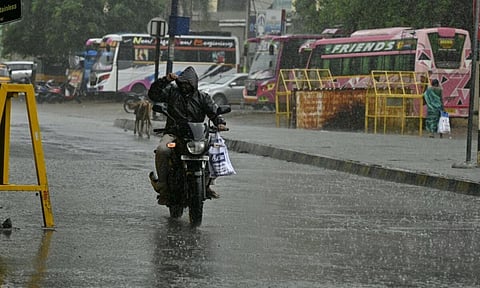 தமிழகத்தில் ஆகஸ்ட் 2-ம் தேதி முதல் 7 மாவட்டங்களில் மழைக்கு வாய்ப்பு
