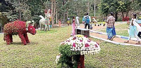 கொல்லிமலையில் ‘வல்வில் ஓரி’ விழா கோலாகல தொடக்கம்: சுற்றுலாப் பயணிகளை கவர்ந்த மலர்க் கண்காட்சி