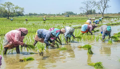 படங்கள்: ஆர்.வெங்கடேஷ்