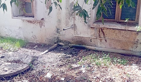 சுகாதாரமற்ற நிலையில் இருக்கும் காஞ்சிபுரம் புற்றுநோய் அரசு மருத்துவமனை வளாகம்.