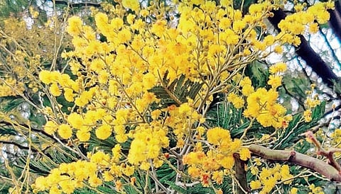 படங்கள்: ஆர்.டி.சிவசங்கர்