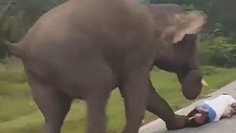 ஆபத்தை உணராத ‘செல்ஃபி’ பழக்கம்!