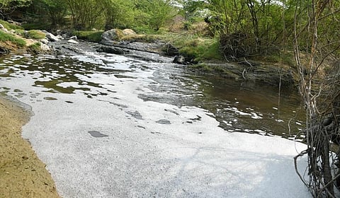 பாலாறு | கோப்புப் படம்