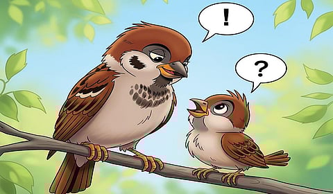 எனக்கு ஏன் நான்கு கால்கள் இல்லை? | கதை