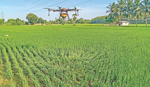 தஞ்சாவூர் அருகே வடக்குப்பட்டு கிராமத்தில் 
குறுவை சாகுபடியில் நெற்பயிருக்கு தேவையான மருந்துகளை 
தெளிக்கும் ட்ரோன். | படம்: ஆர்.வெங்கடேஷ் |