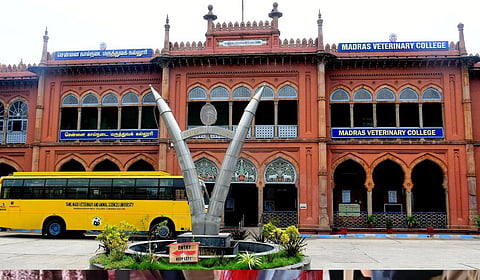 கால்நடை மருத்துவக் கல்லூரியில் ரூ.5 கோடி முறைகேடு புகார்: டீன் பொறுப்பில் இருந்து சவுந்தரராஜன் நீக்கம்