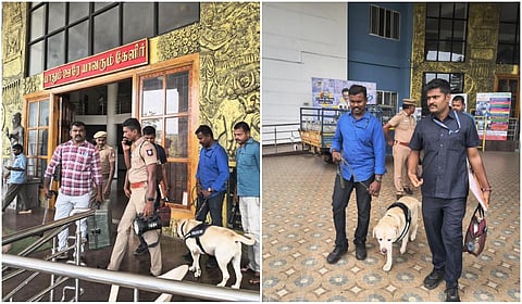 திருப்பூர் ஆட்சியர் அலுவலகத்துக்கு வெடிகுண்டு மிரட்டல்: போலீஸார் விசாரணை