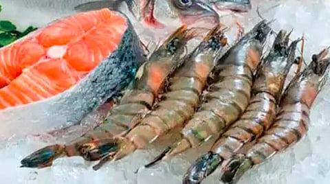 அமெரிக்க வரி விதிப்பால் ரூ.10 கோடி இறால் ஏற்றுமதி பாதிப்பு: ராமநாதபுரம் மீனவர்கள் அச்சம்