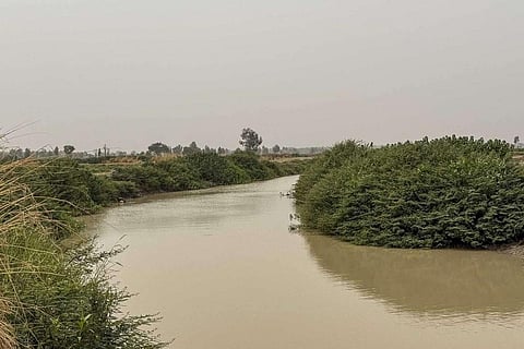 கோப்புப் படம்