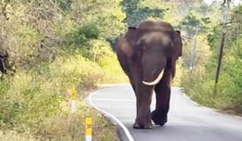 கோப்புப் படம்