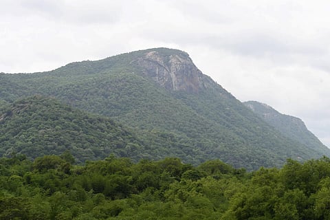 ‘வயநாடு சம்பவம் போல...’ - தி.மலை.யின் 554 ஏக்கர் பகுதி குறித்த அறிக்கை சொல்வது என்ன?