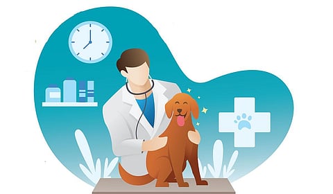 வேலைவாய்ப்பு வழங்கும் கால்நடை மருத்துவ அறிவியல் படிப்புகள் | புதியன விரும்பு 2.0 - 21