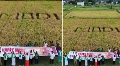 காஞ்சிபுரம் மாவட்டம் அவளூரில் நெற்பயிரில் மோடி பெயரை வரைந்து பிறந்தநாள் வாழ்த்து தெரிவித்த பாஜகவினர்.