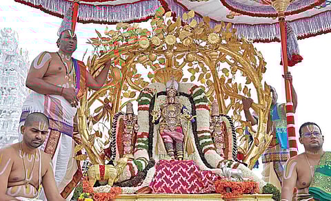 திருப்பதி பிரம்மோற்சவத்தின் 4-ம் நாளான நேற்று காலை ஸ்ரீதேவி, பூதேவி சமேதராக கற்பகவிருட்ச வாகனத்தில் பக்தர்களுக்கு அருள் பாலித்த மலையப்பர்.