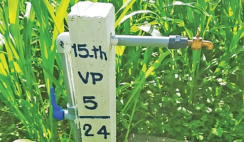 முறைகேடு கண்டறியப்பட்டால் ஜல்ஜீவன் நிதி நிறுத்தப்படும்: தமிழக அரசுக்கு பாஜக அறிவுறுத்தல் 